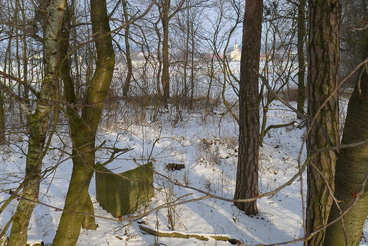 2011 02 22 06 Veselíčko ves (2).JPG (normální)