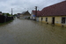 Veselíčko  2013 06 02 153