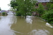 Veselíčko  2013 06 02 165