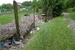 Veselíčko  2013 06 04 261.JPG