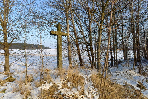 Křížek (normální)
