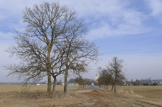 Na Křenovice (normální)