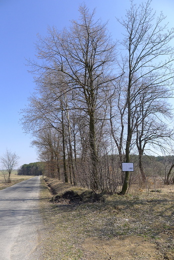 Starý hřbitov (normální)